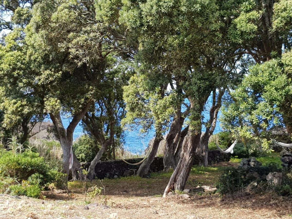Ponta Delgada Quinta Da Falesia - Casa Amarela מראה חיצוני תמונה